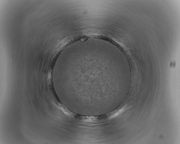 X0000091010288200708091608