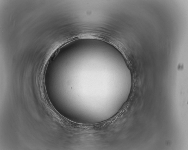 X0000091010289200708091607
