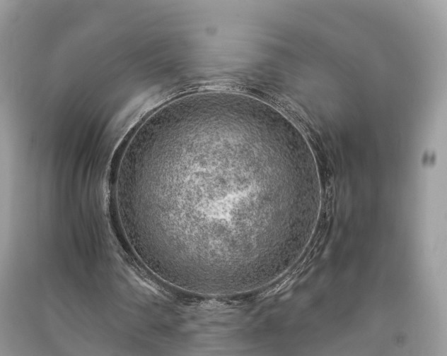 X0000091010290200708091607
