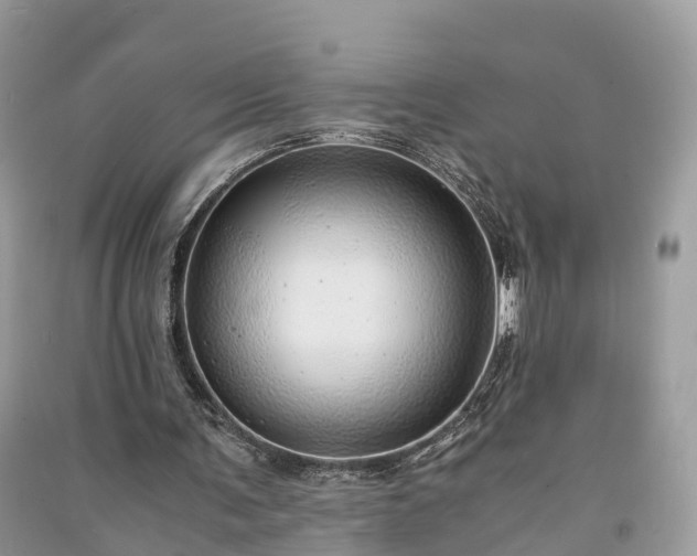 X0000091010291200708091607