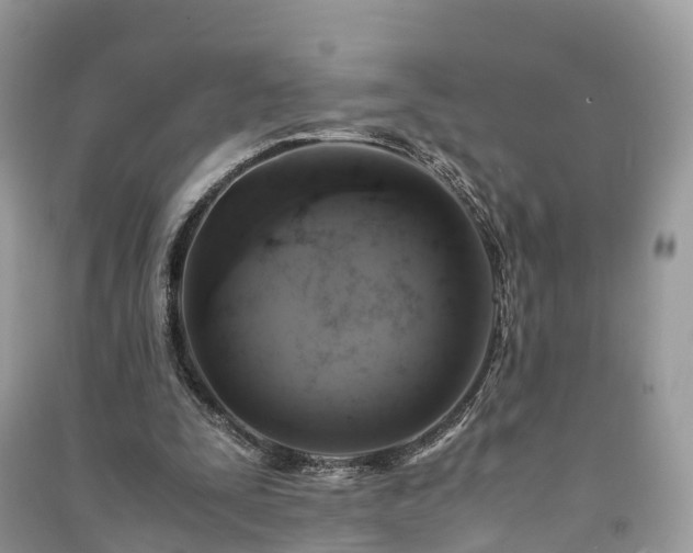 X0000091010295200708091607