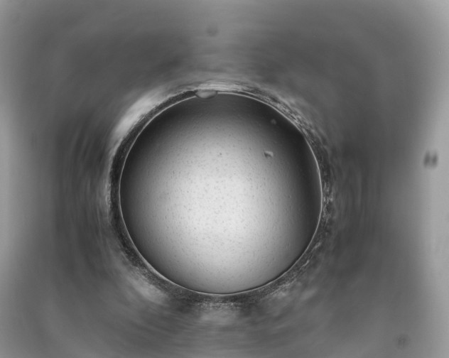 X0000091010296200708091607