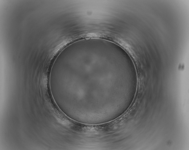 X0000091010297200708091607