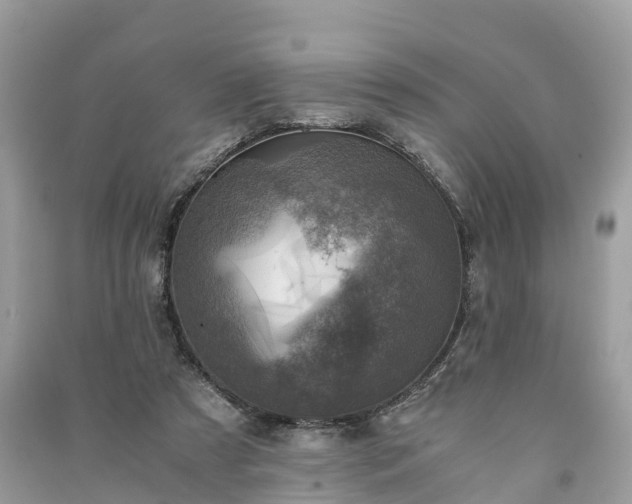 X0000091010305200708091607
