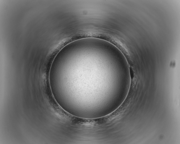 X0000091010306200708091607