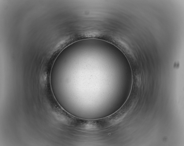 X0000091010308200708091607