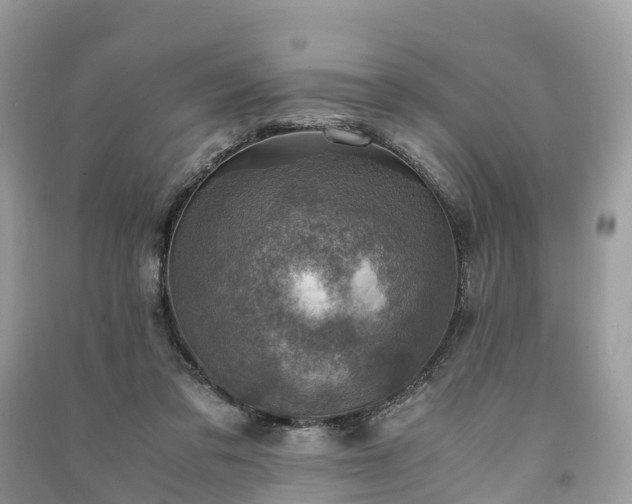 X0000091010309200708091607