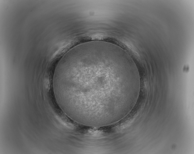 X0000091010311200708091607