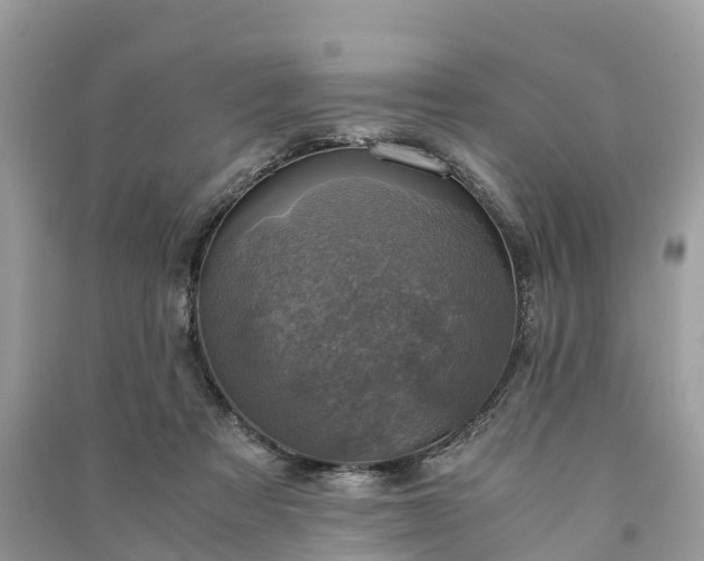 X0000091010313200708091607