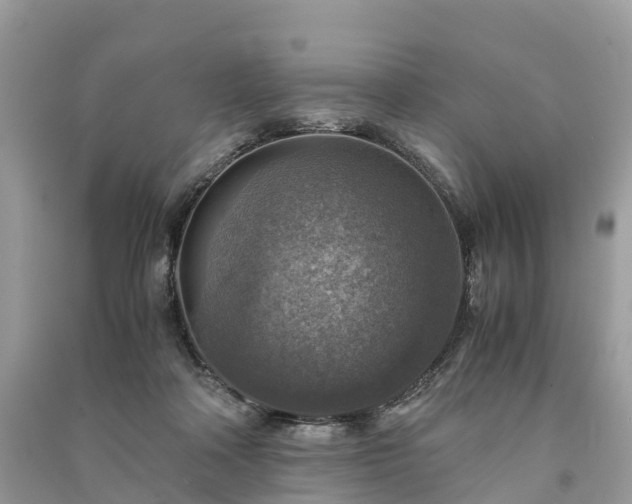 X0000091010314200708091607
