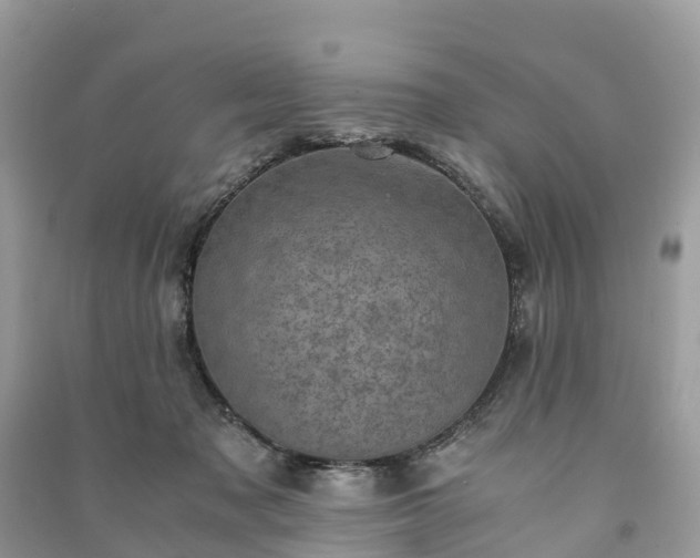 X0000091010317200708091607