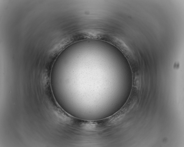 X0000091010318200708091607