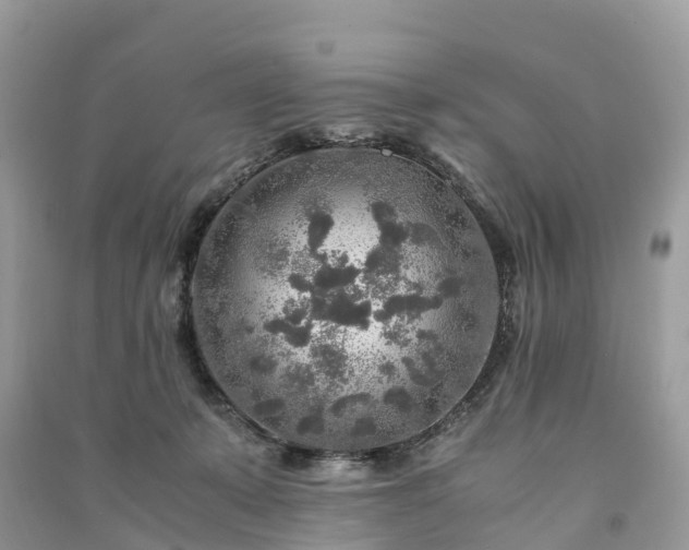 X0000091010319200708091607
