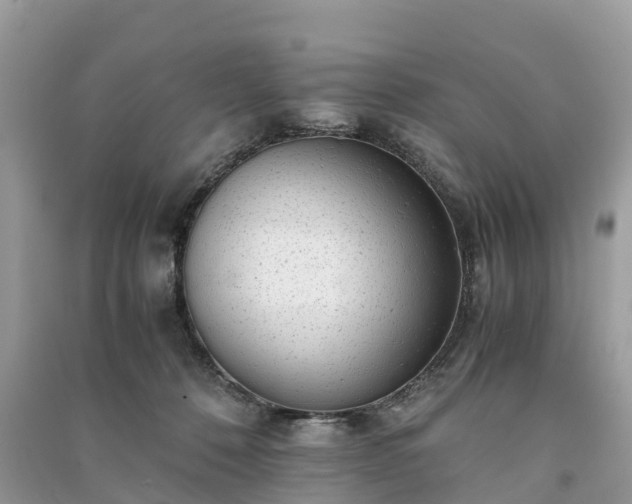 X0000091010320200708091607