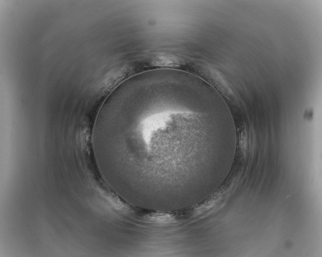 X0000091010322200708091607