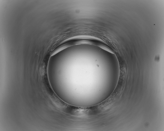 X0000091010323200708091607