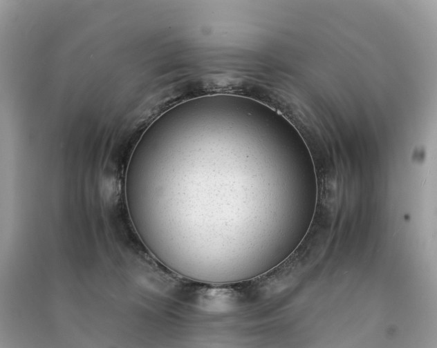 X0000091010324200708091607