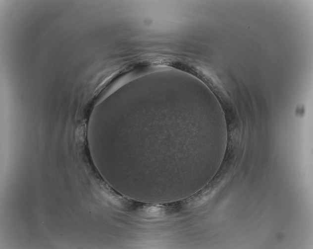X0000091010325200708091607