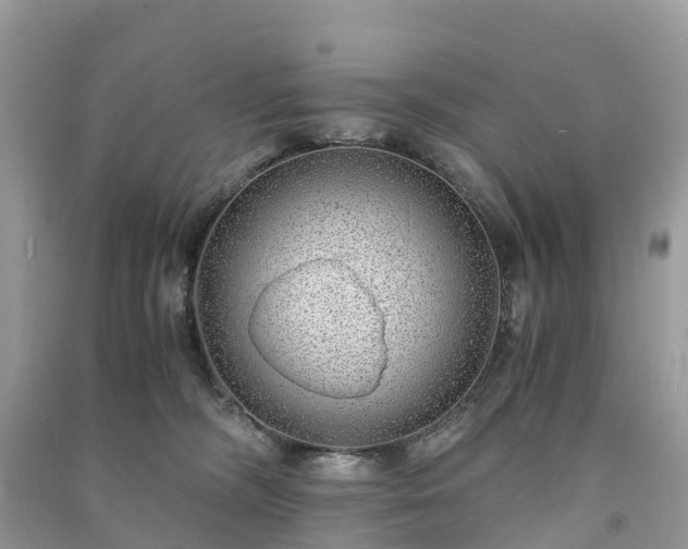 X0000091010326200708091607