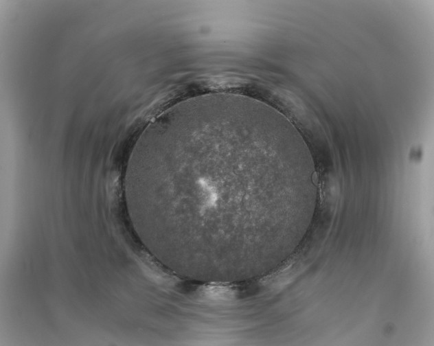 X0000091010327200708091607