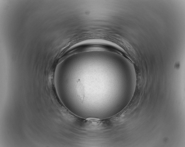 X0000091010329200708091607