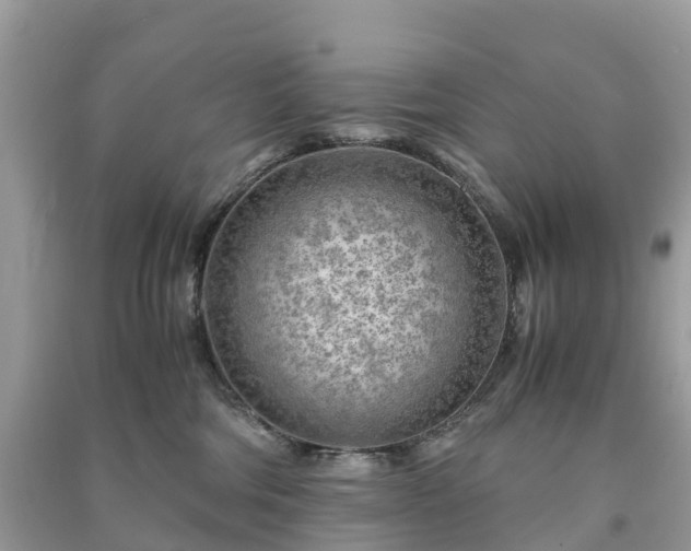 X0000091010330200708091607