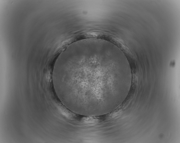 X0000091010331200708091607