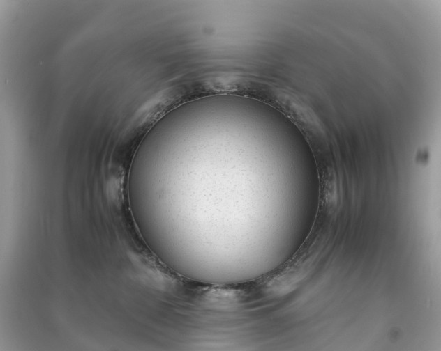 X0000091010332200708091607