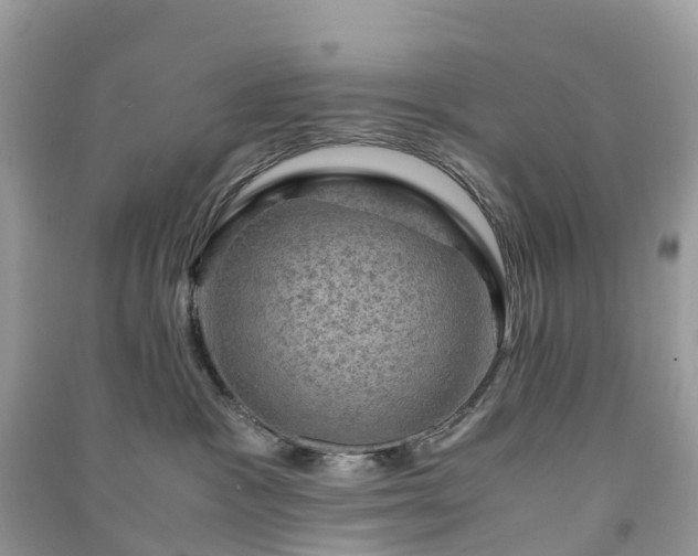 X0000091010333200708091607