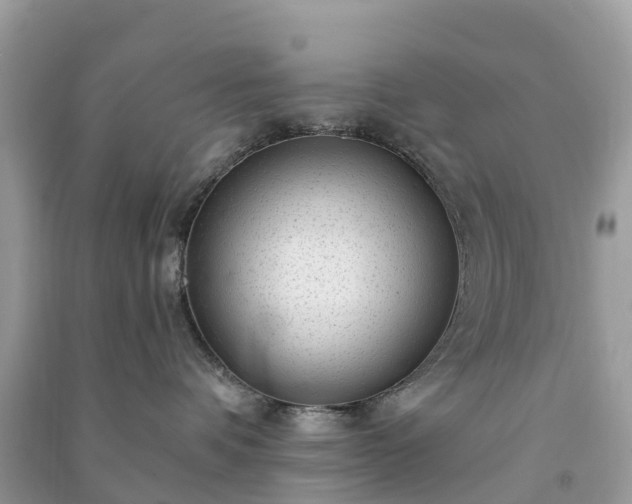 X0000091010336200708091607