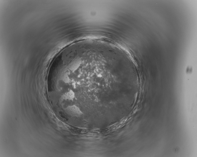 X0000091010337200708091606