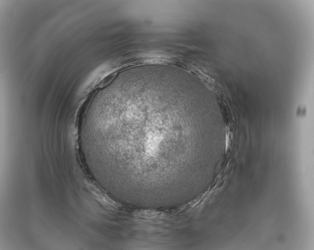 X0000091010339200708091606