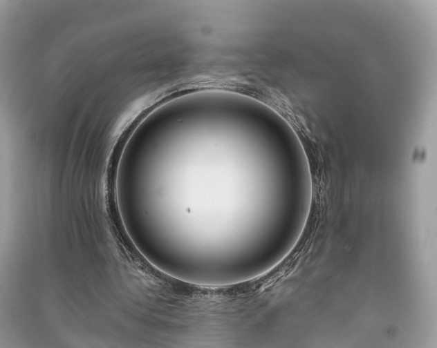 X0000091010340200708091606