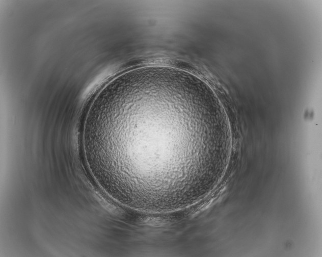 X0000091010341200708091606