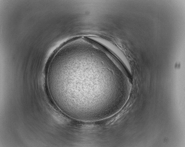 X0000091010342200708091606
