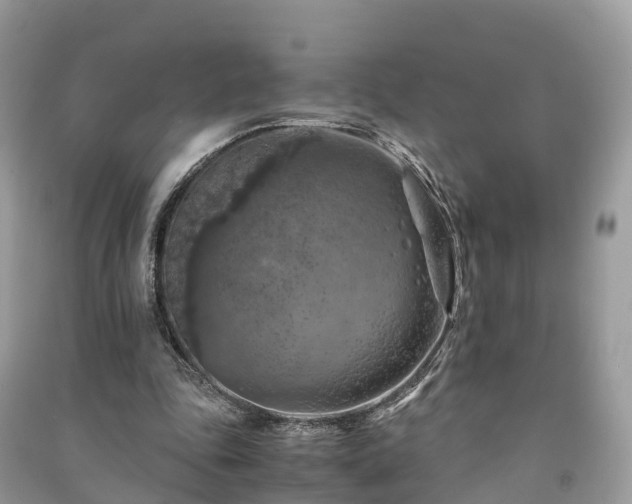 X0000091010343200708091606