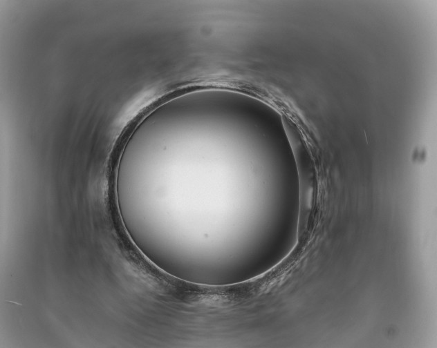 X0000091010344200708091606