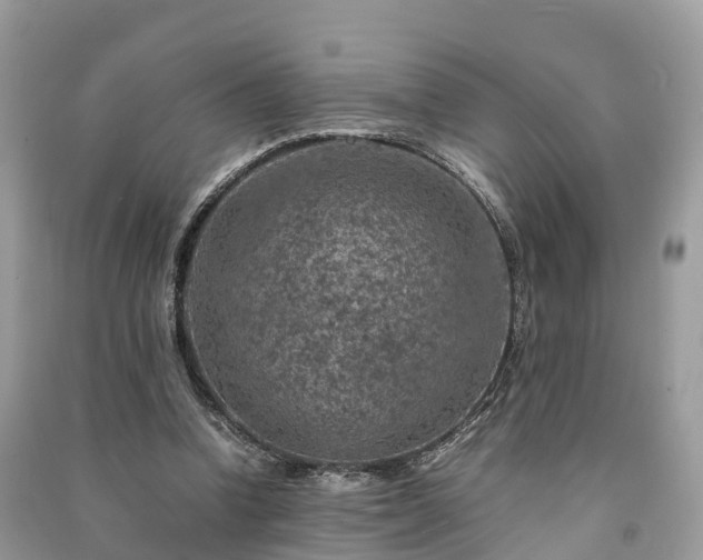 X0000091010346200708091606
