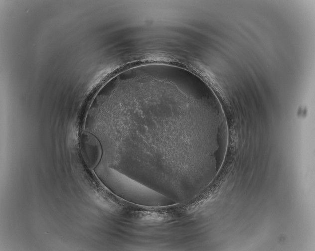X0000091010347200708091606
