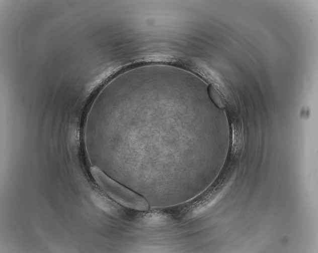 X0000091010348200708091606
