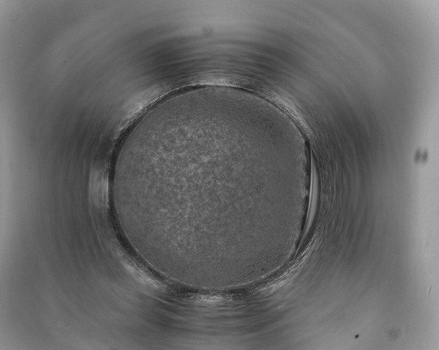 X0000091010349200708091606