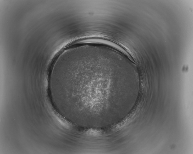 X0000091010350200708091606