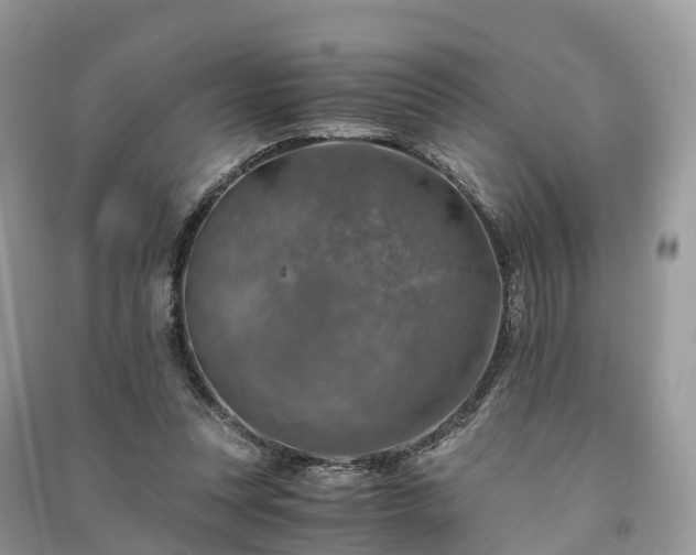 X0000091010351200708091606