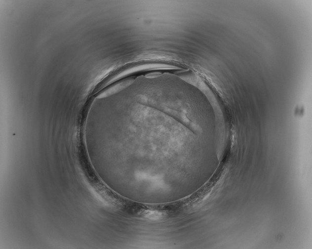 X0000091010352200708091606