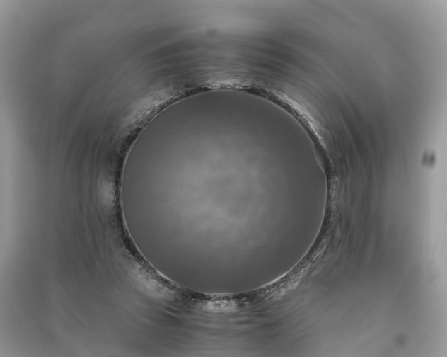 X0000091010353200708091606