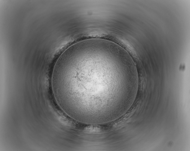 X0000091010354200708091606
