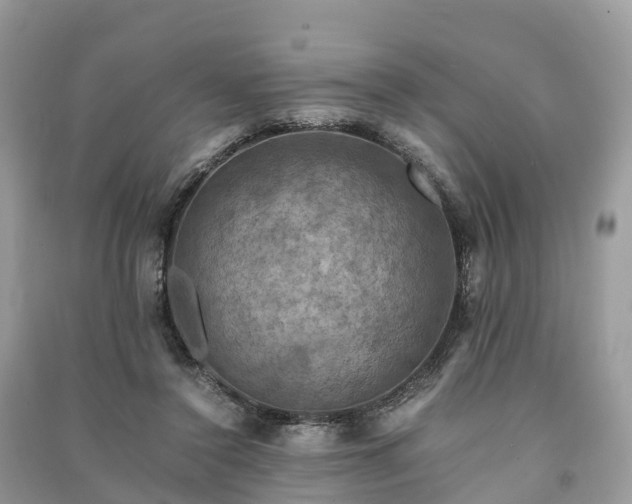X0000091010356200708091606