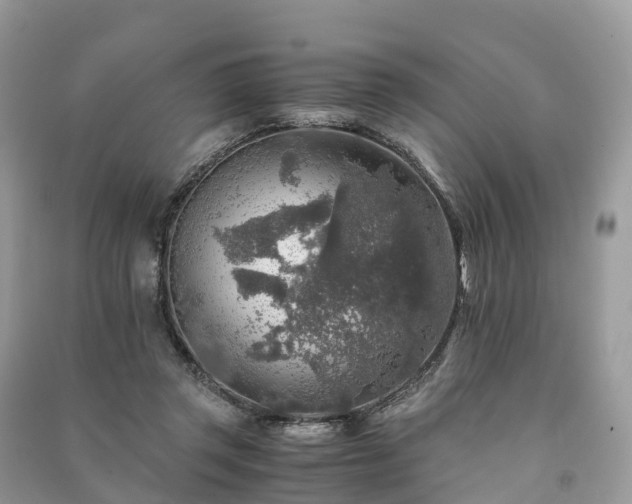 X0000091010357200708091606