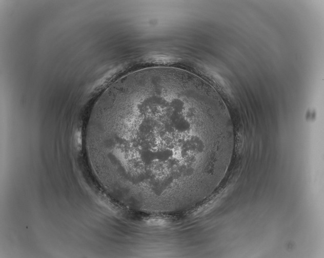 X0000091010358200708091606