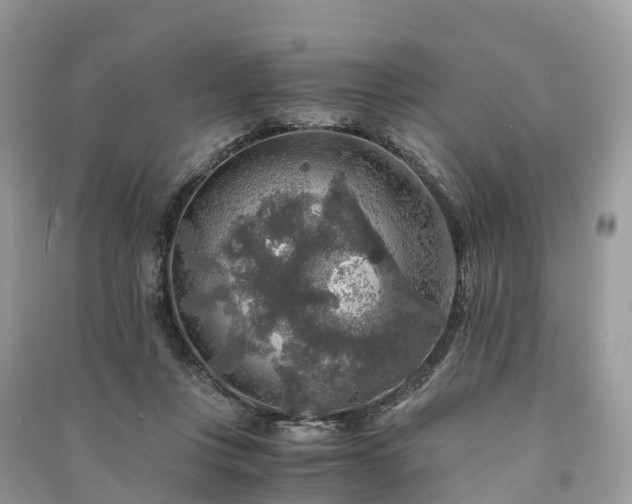 X0000091010359200708091606
